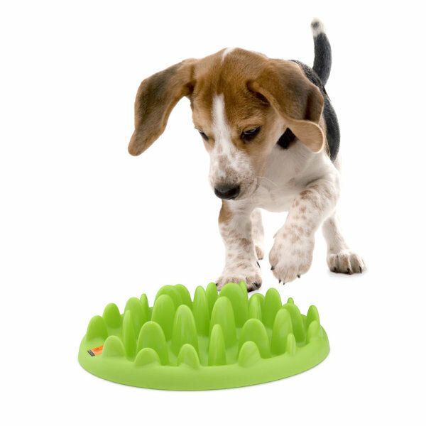 Green Mini Slow Feeder lėto ėdimo dubenėlis šunims -  2