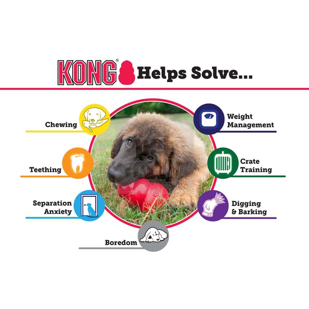 KONG Extreme skanėstais užpildomas žaislas, M dydis, 9 cm -  7