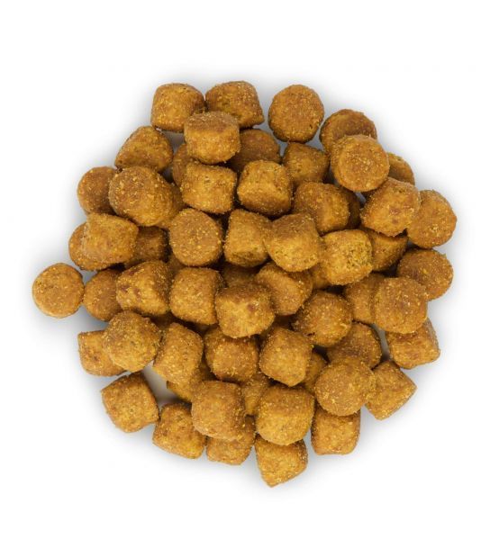 Hill's Science Plan Adult Medium maistas šunims su ėriena, 800g -  3