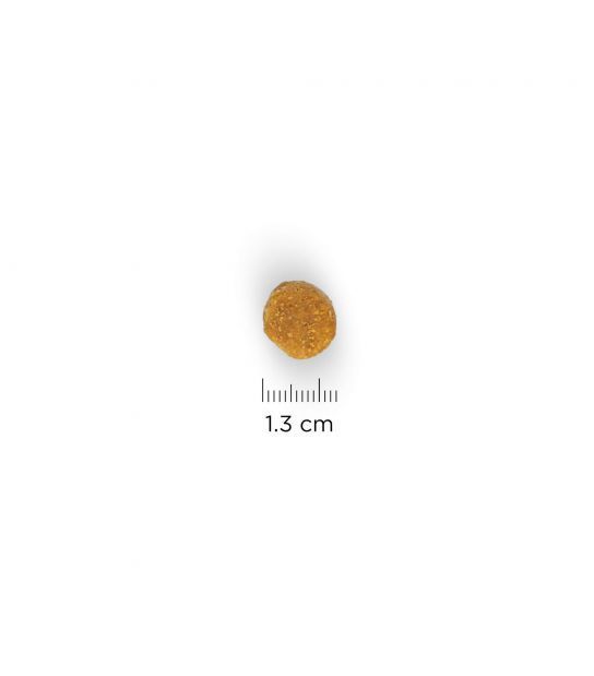 Hill's Science Plan Adult Medium maistas šunims su ėriena, 800g -  4