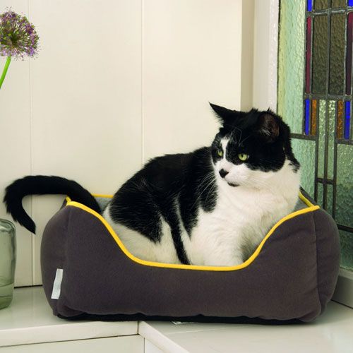 Beeztees Kumba guolis 48 x 48 x 16 cm, pilkas -  2