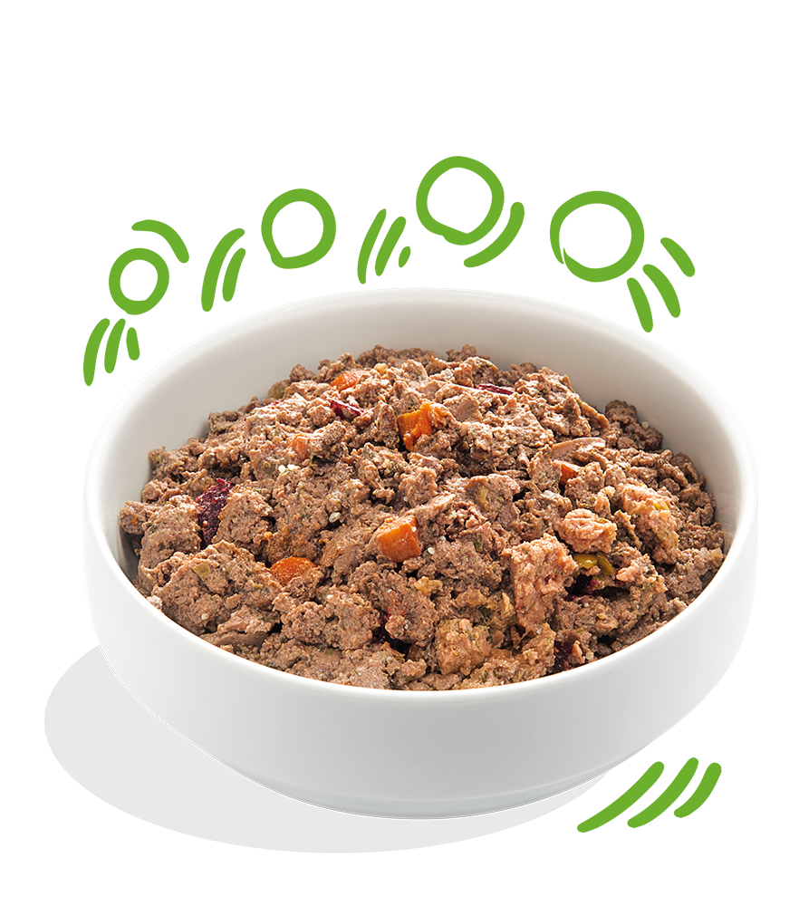 Edgard Cooper konservai šunims su ėriena ir jautiena, 150 g -  2