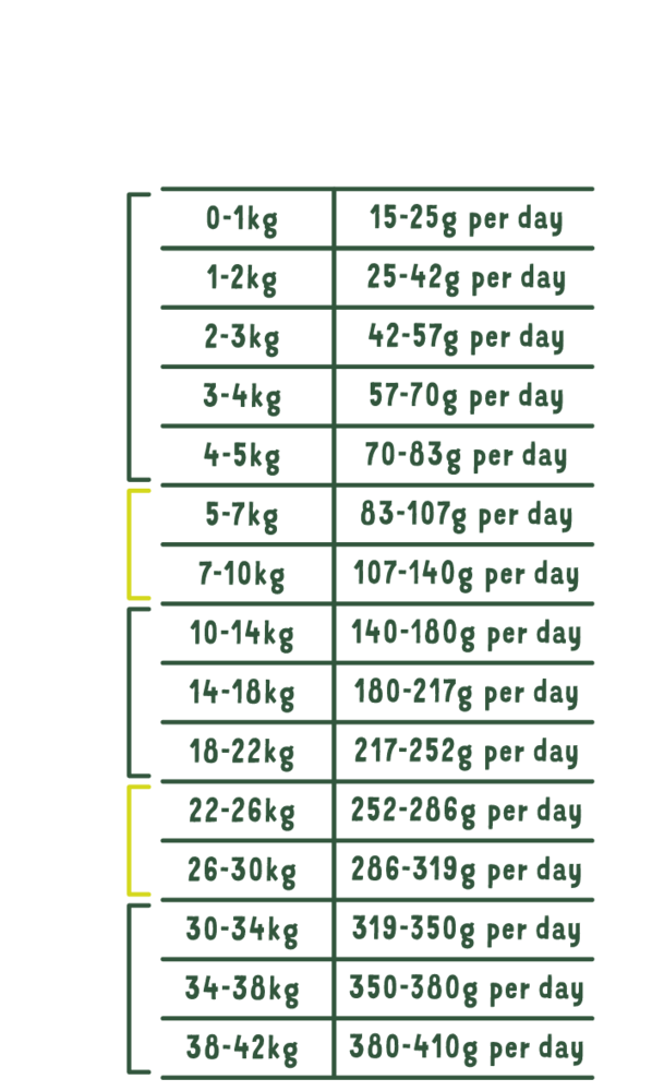 Edgard Cooper sausas maistas šunims su ėriena, 12 kg -  3