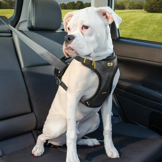 Kurgo Impact automobilio saugos petnešos šunims, 11-23kg -  4