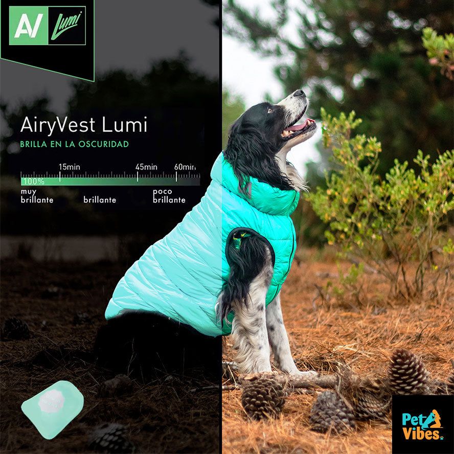 Collar Airyvest liemenė šunims, 25 cm,  žalias/mėlynas -  4