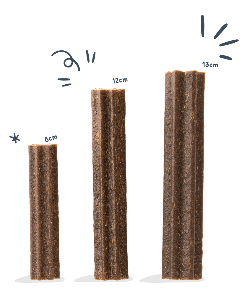 Edgard Cooper Dental lazdelės su braškėmis ir mėta, L, 240 g -  2