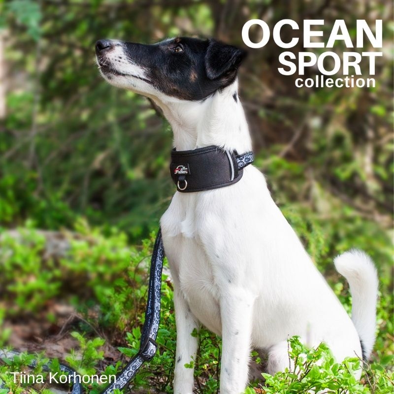 Finnero Ocean Sport reguliuojamas antkaklis šunims, L, 45-66 cm, juodas -  3