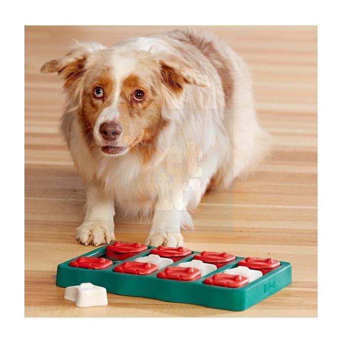 Nina Ottoson Dog Brick išmanusis žaislas šunims -  2