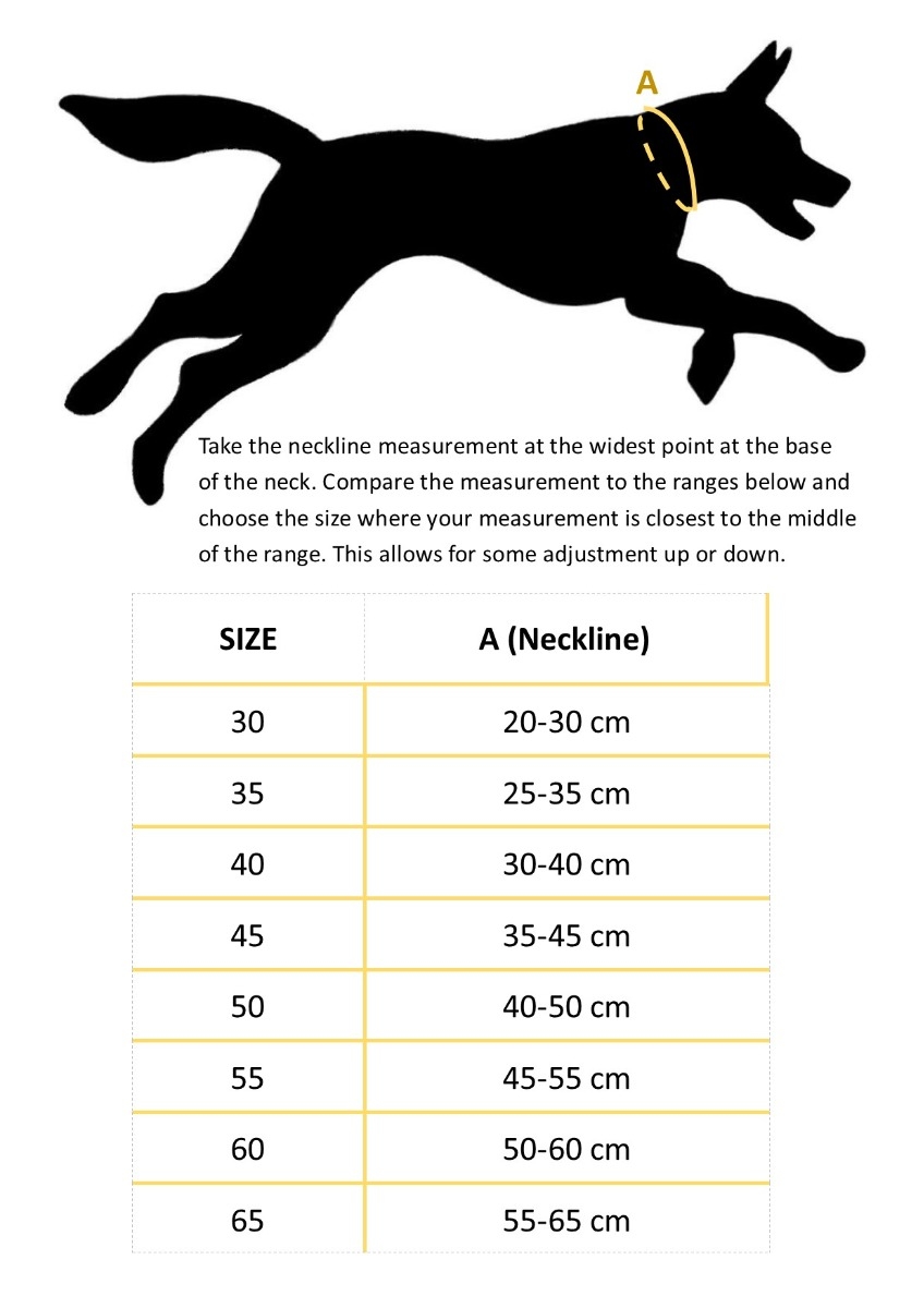 Hurtta Outdoors antkaklis šunims 50cm, mėlynas/žalias -  2