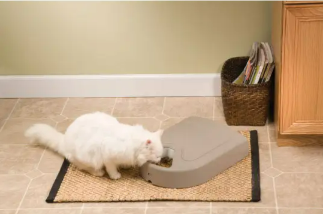 PETSAFE 5 Meal Pet Feeder automatinė maitinimo sistema -  3
