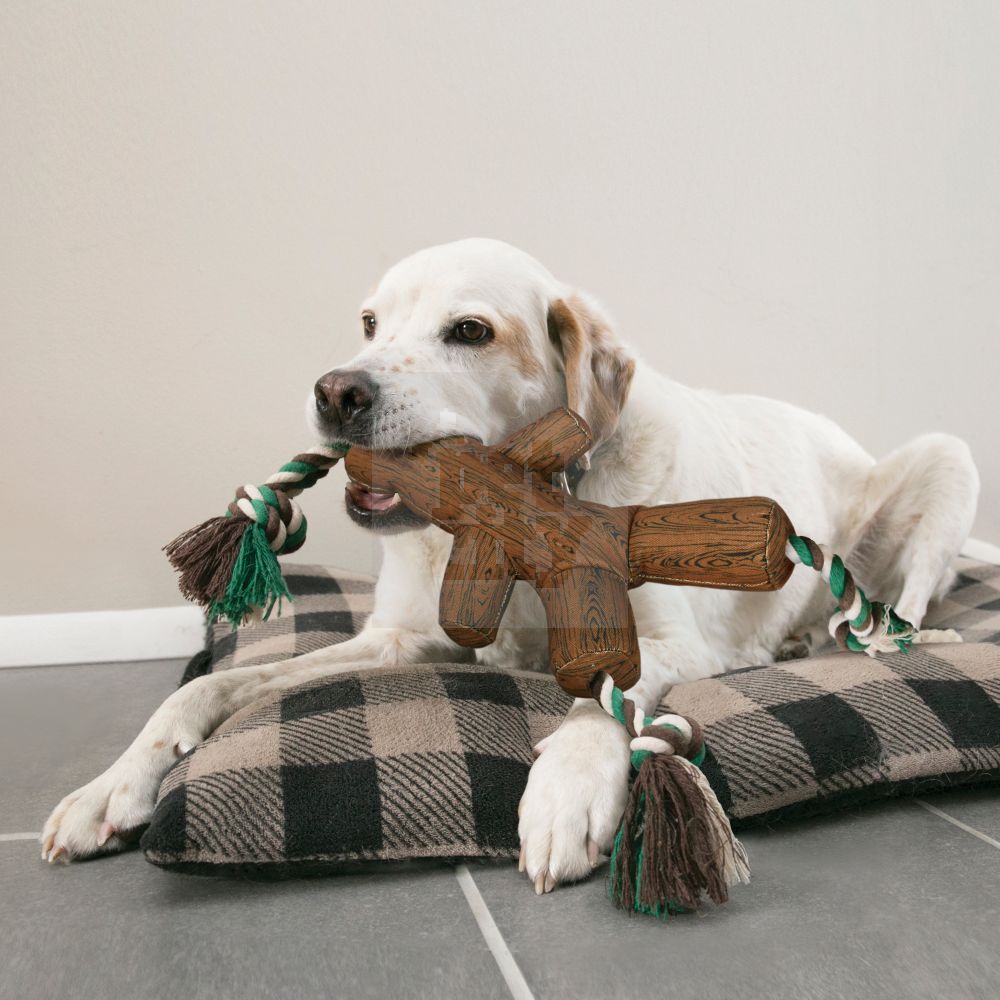 KONG Fetch Stix tempimo žaislas šunims, M dydžio -  2