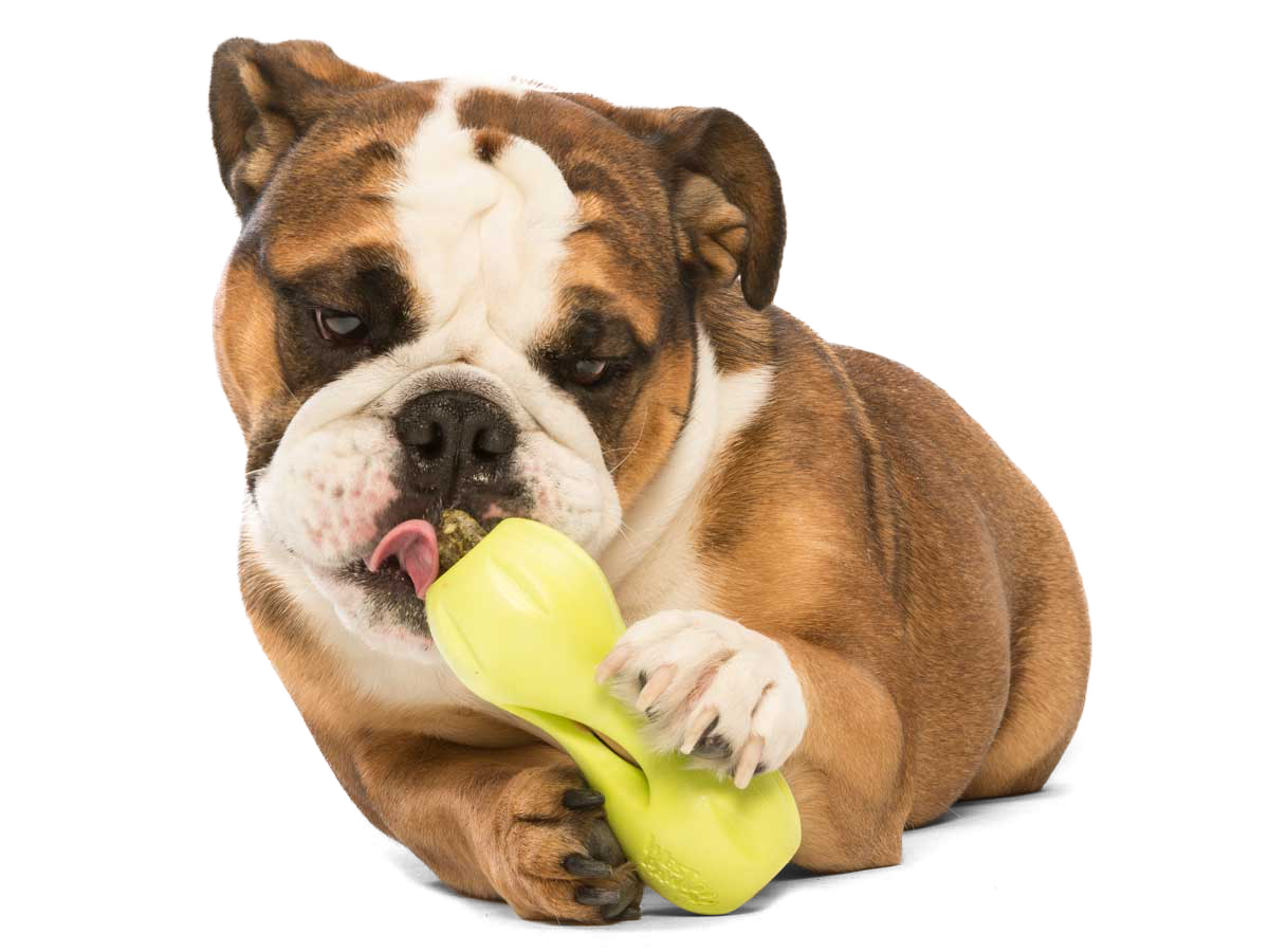 West Paw Qwizl guminis žaislas, 17 cm, žalias -  2