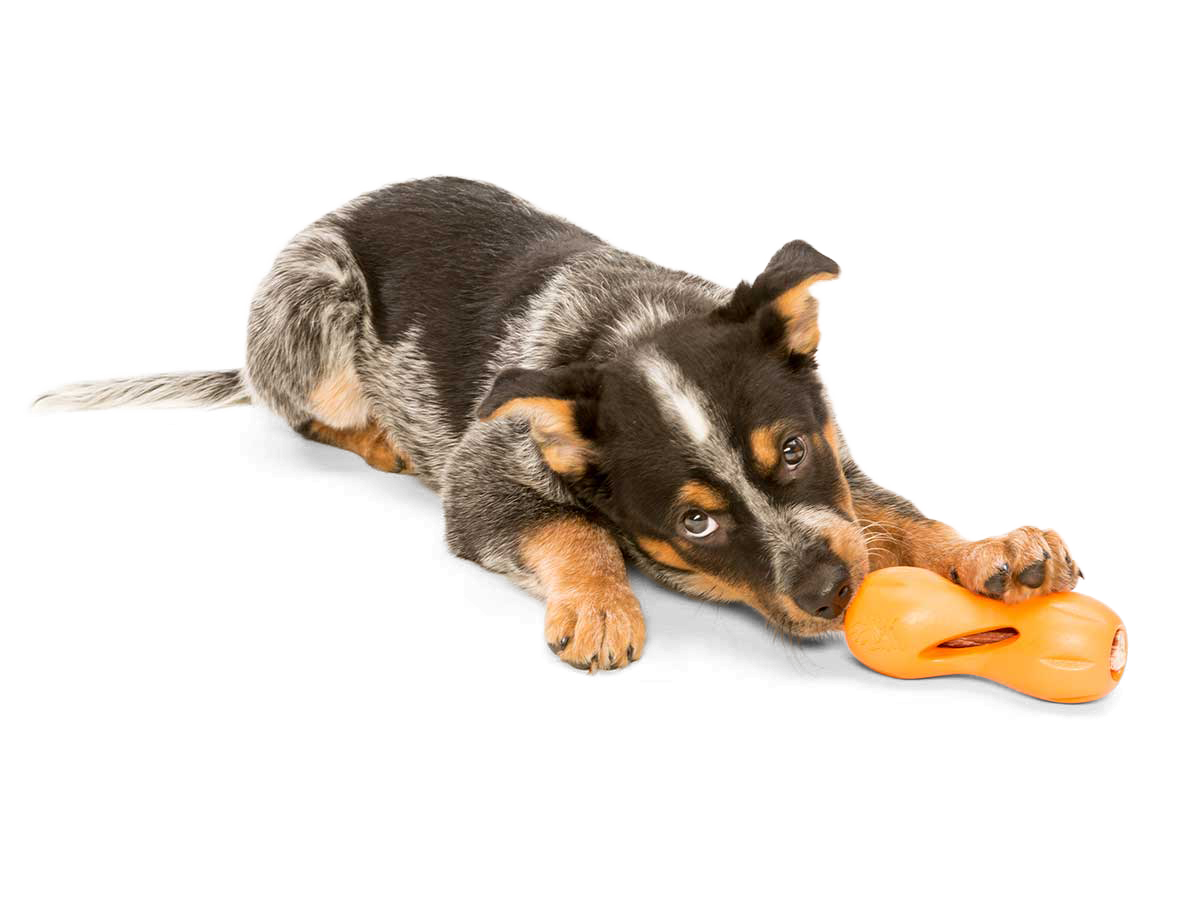 West Paw Qwizl guminis žaislas 17 cm, oranžinis -  4