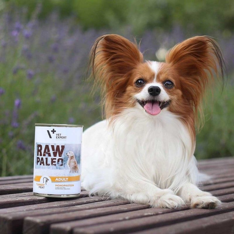Raw Paleo Adult konservai šunims su kalakutiena, 400 g -  2