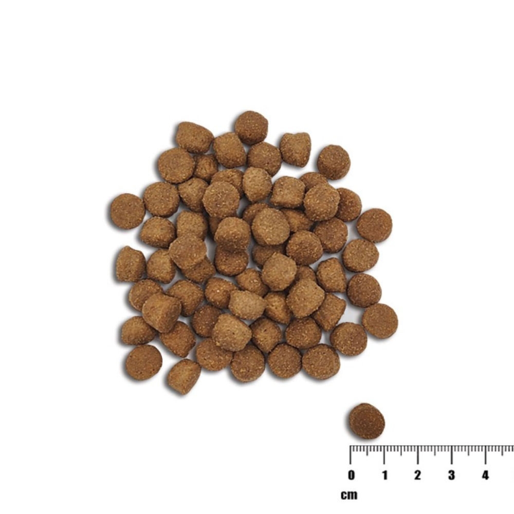 Raw Paleo Healthy Grain Puppy sausas maistas šuniukams su lašiša, 2 kg -  2