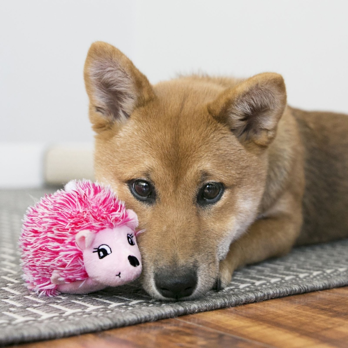 KONG Comfort Hedgehug Puppy minkštas žaislas, XS dydis, įv. spalvų -  2