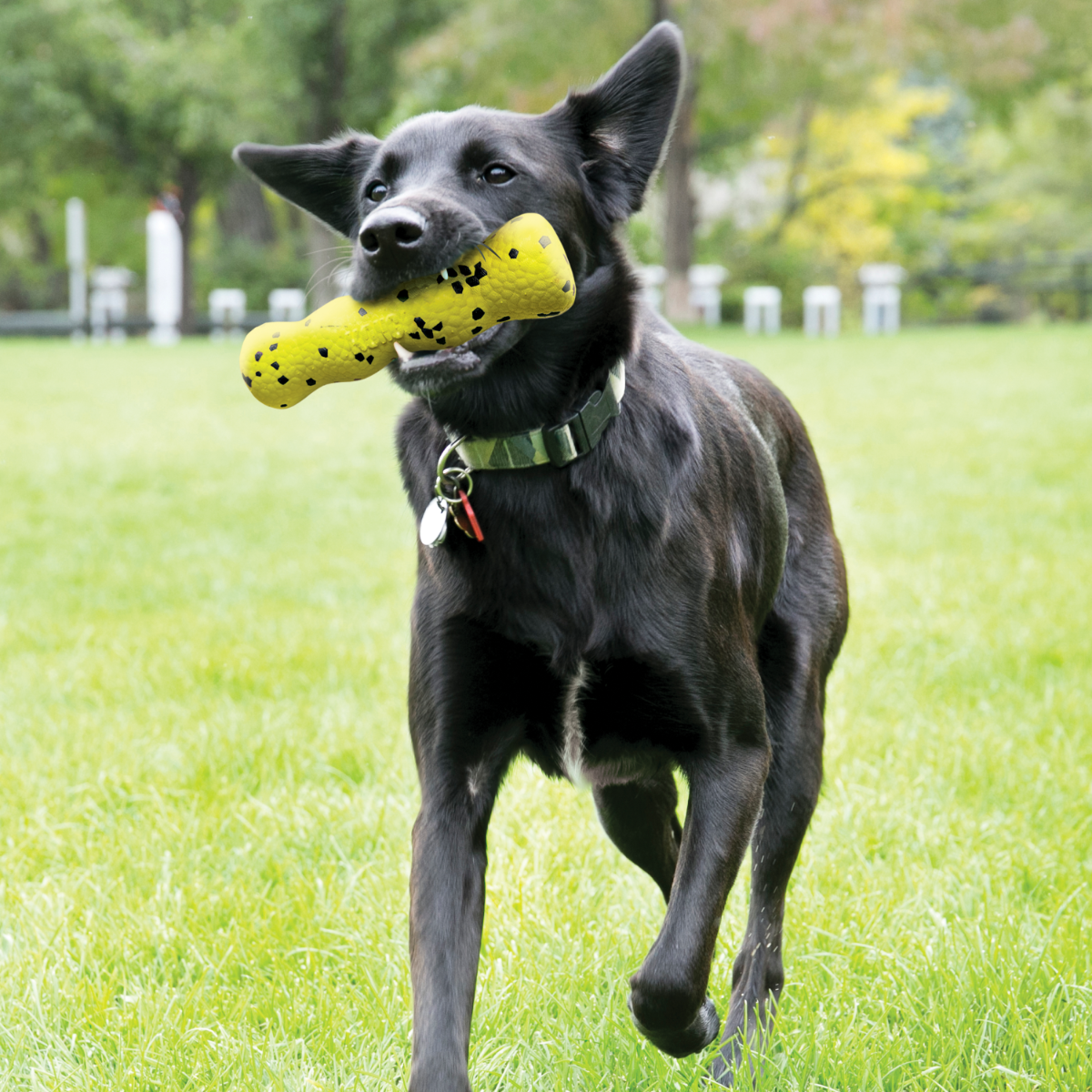 KONG Reflex Stick žaislas šunims lazdelė -  3