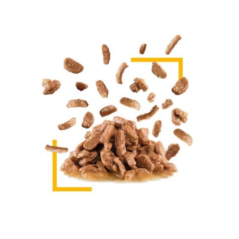 Royal Canin Sensory Taste konservai katėms, 85 g -  2