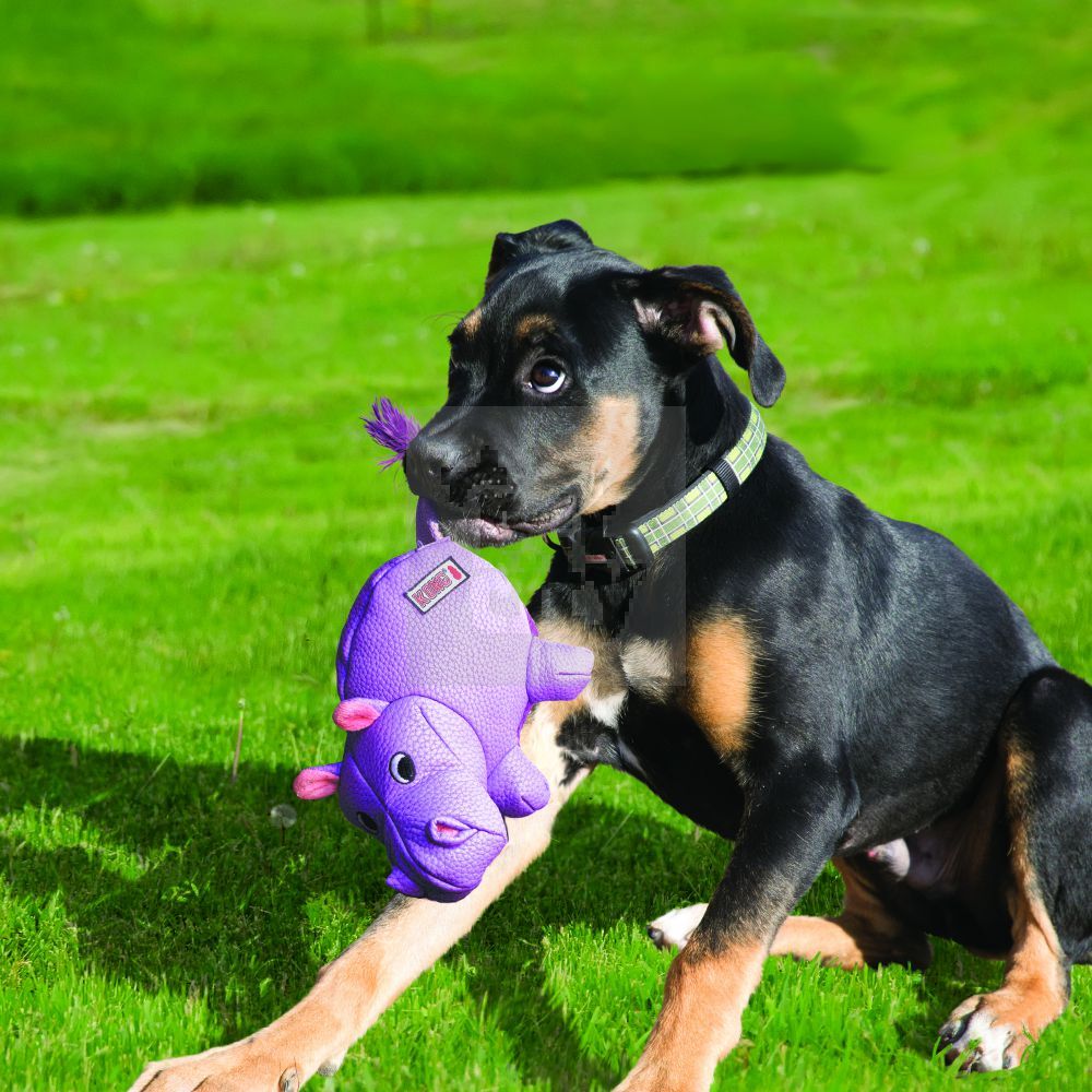 KONG Phatz Hippo žaislas begemotas, M dydžio, 22 cm -  2