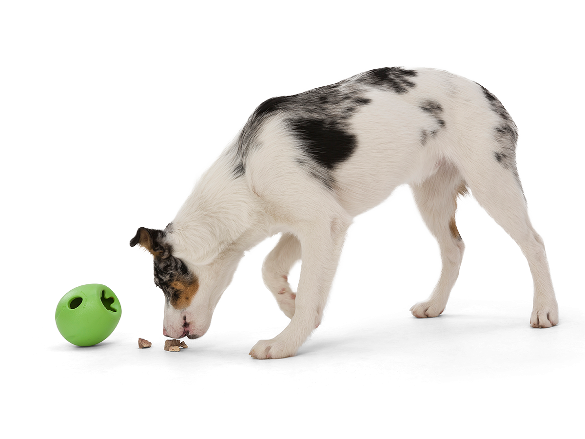 West Paw Echo Rumbl žaislas šunims 10 cm, žalias -  3