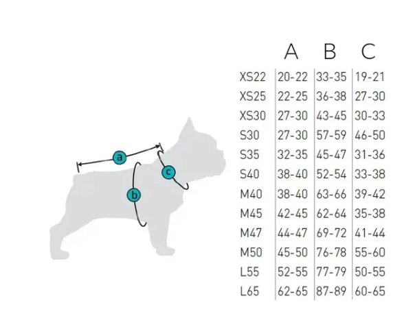 Collar Waudog striukė šunims, XS (25 cm), pilka -  5