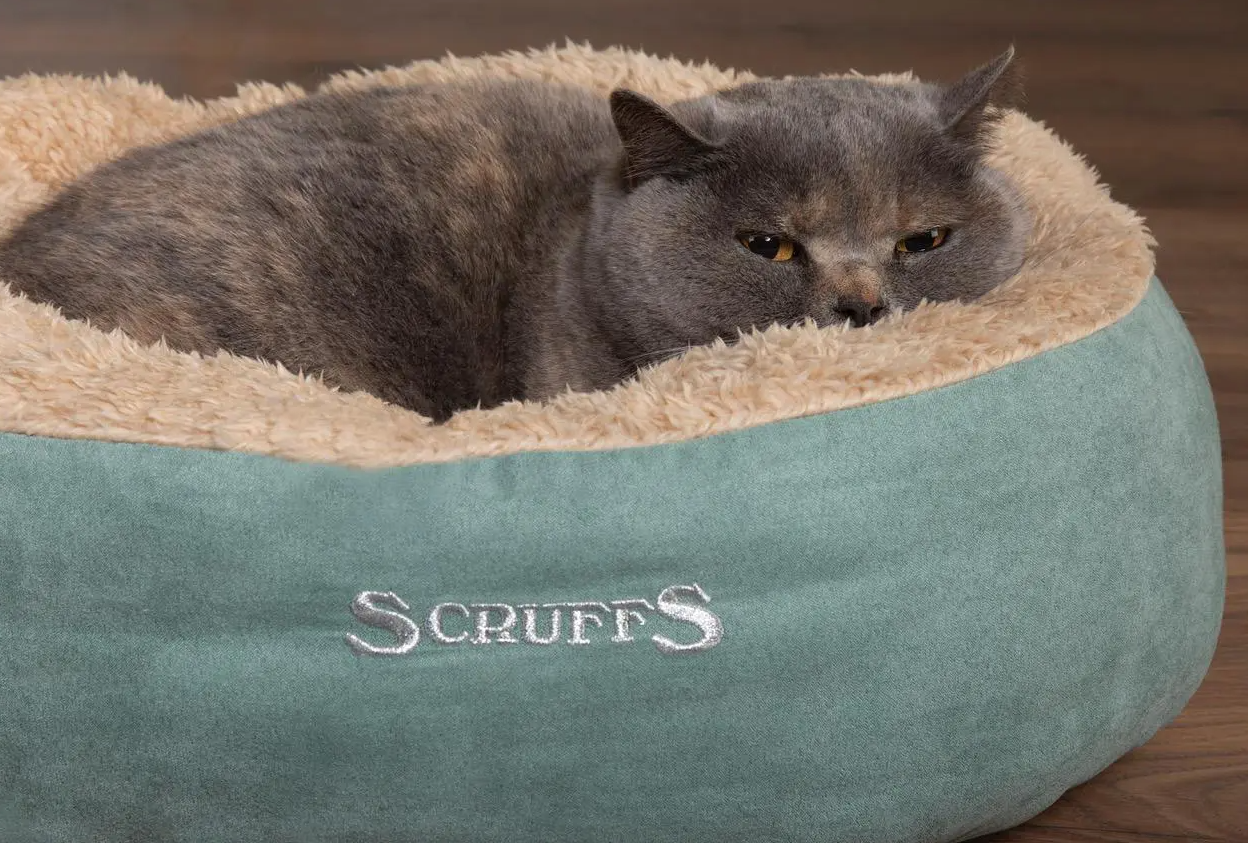 Scruffs Cozy guolis, 45 cm, žalsvas -  3