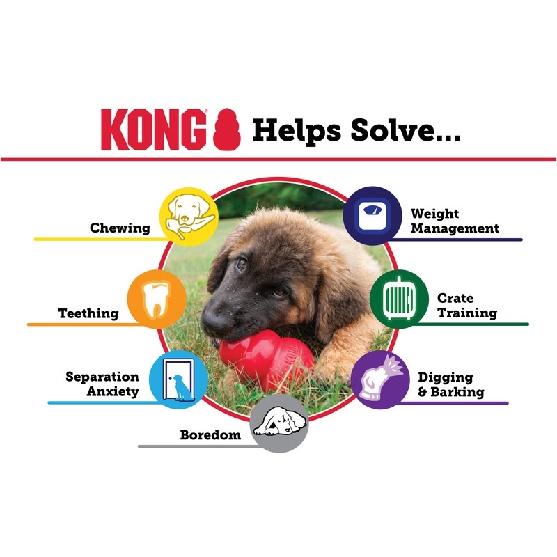 KONG Puppy žaislas šuniukams, 8,5 cm, įv. spalvų -  6