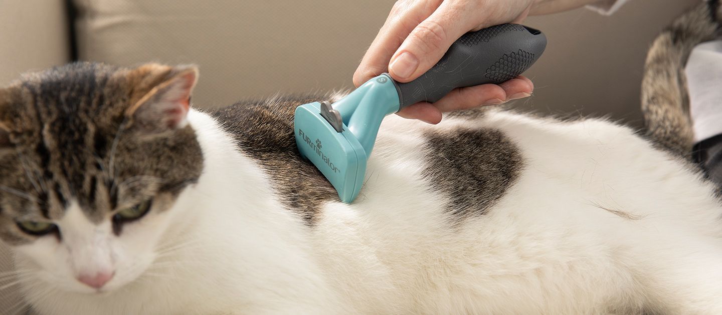 Furminator poplaukio šukavimo įrankis ilgaplaukėms katėms, S -  3