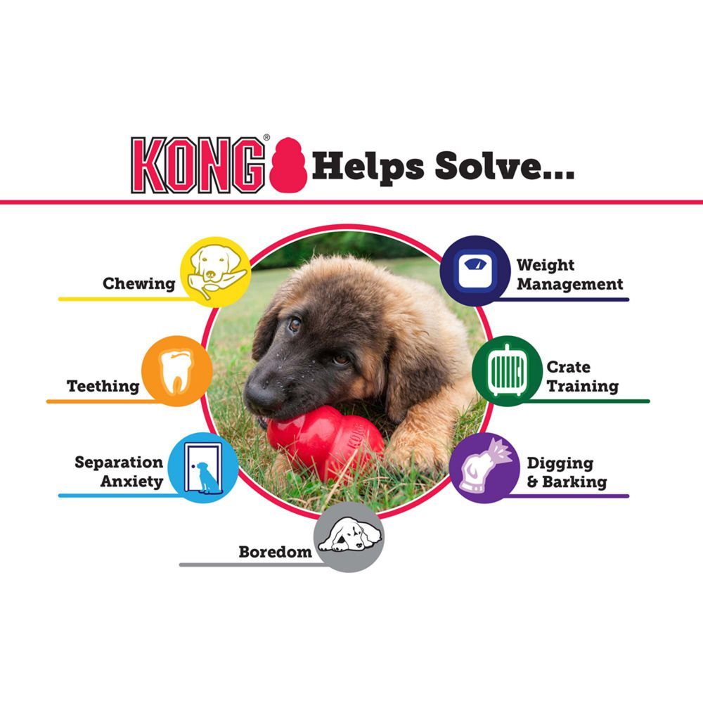 KONG Classic skanėstais užpildomas žaislas,  XL dydžio, 13cm -  5