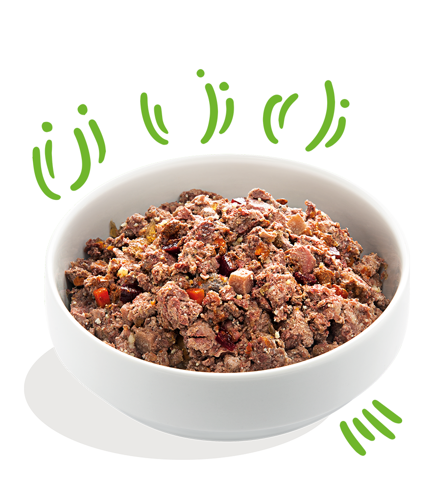 Edgard Cooper konservai šunims su ėriena/jaut, 400g -  2