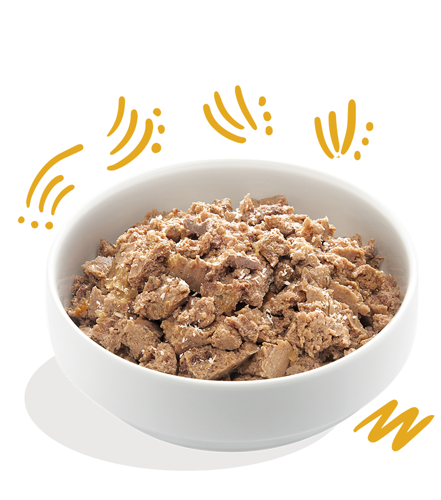 Edgard Cooper konservai šunims su organine kalakutiena, 100g -  2