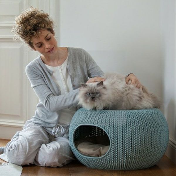 Beeztees Cozy Pet Home guolis, 55cm, melsvas
