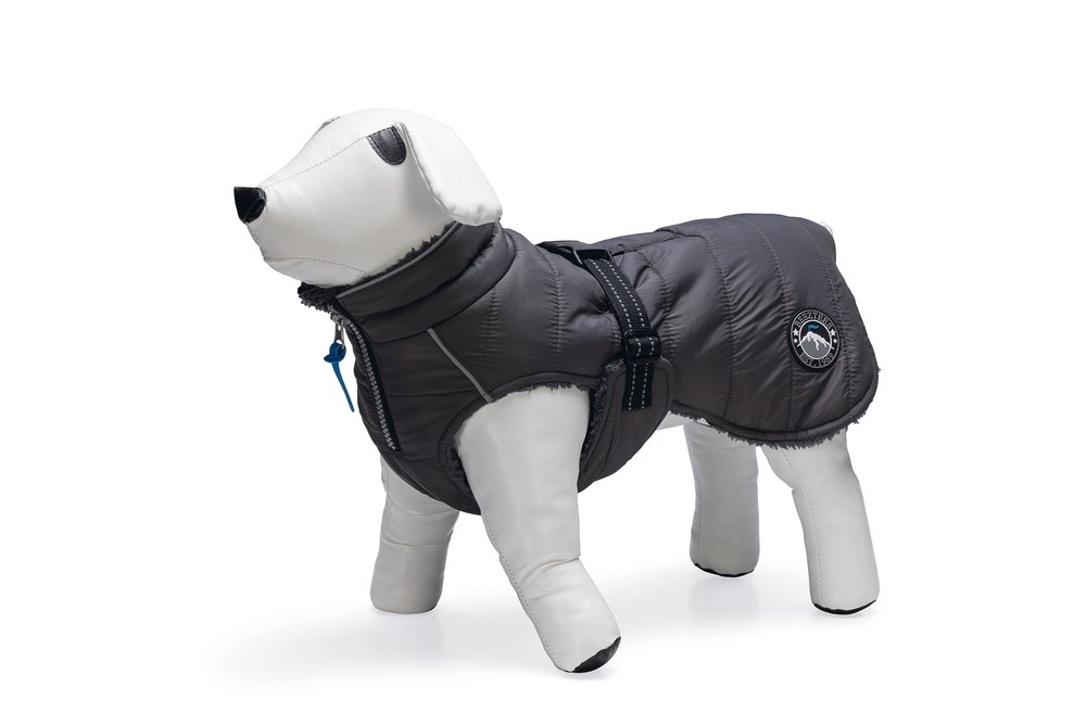 Beeztees Bobby striukė šunims, 56 cm, pilkos spalvos -  2