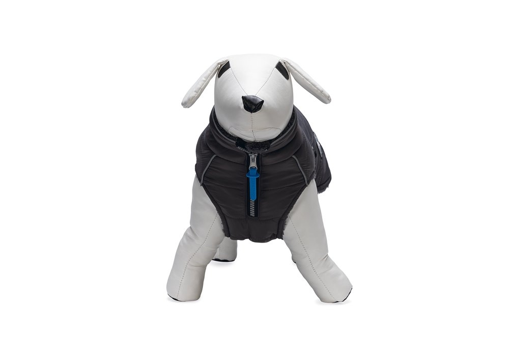 Beeztees Bobby striukė šunims, 32 cm, pilkos spalvos -  3