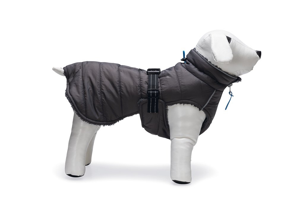 Beeztees Bobby striukė šunims, 32 cm, pilkos spalvos -  4
