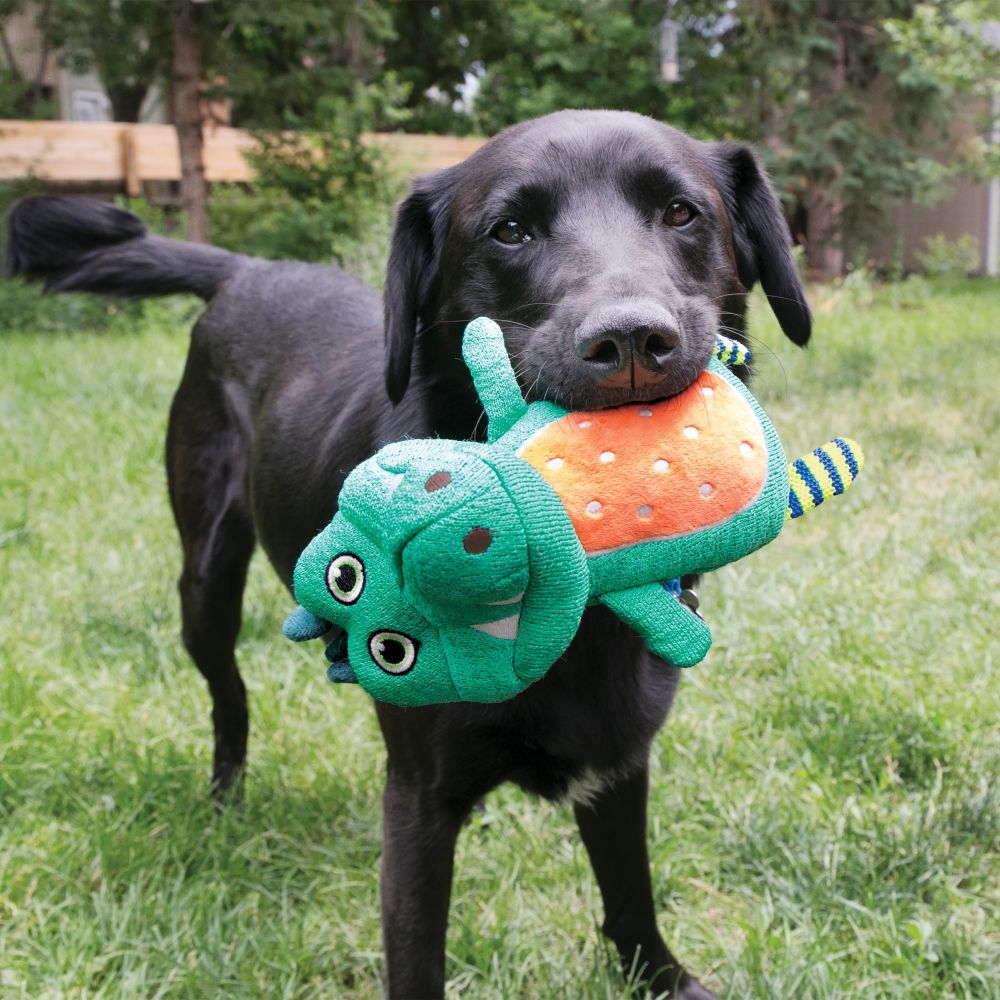 KONG Whoopz Gator minkštas žaislas šunims, S dydis -  3