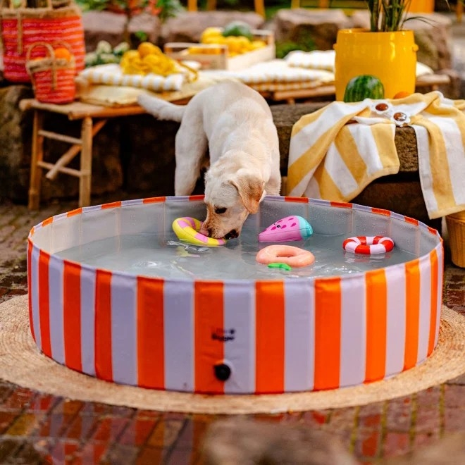L&B HotSummer baseinas, sultinga alyvinė/oranžinė, 120 cm -  3