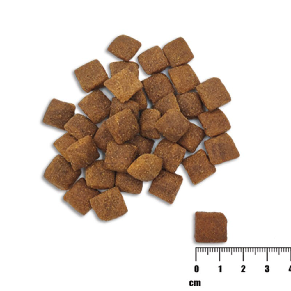 Raw Paleo Healthy Grain Adult sausas maistas šunims su ėriena, 2 kg -  2