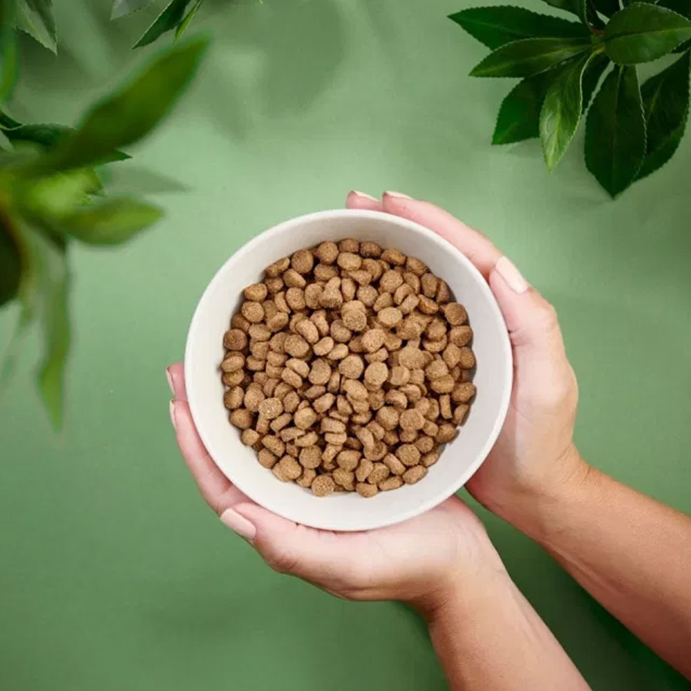 Purenatural sausas maistas mažų veislių šunims su vištiena, 2 kg -  2