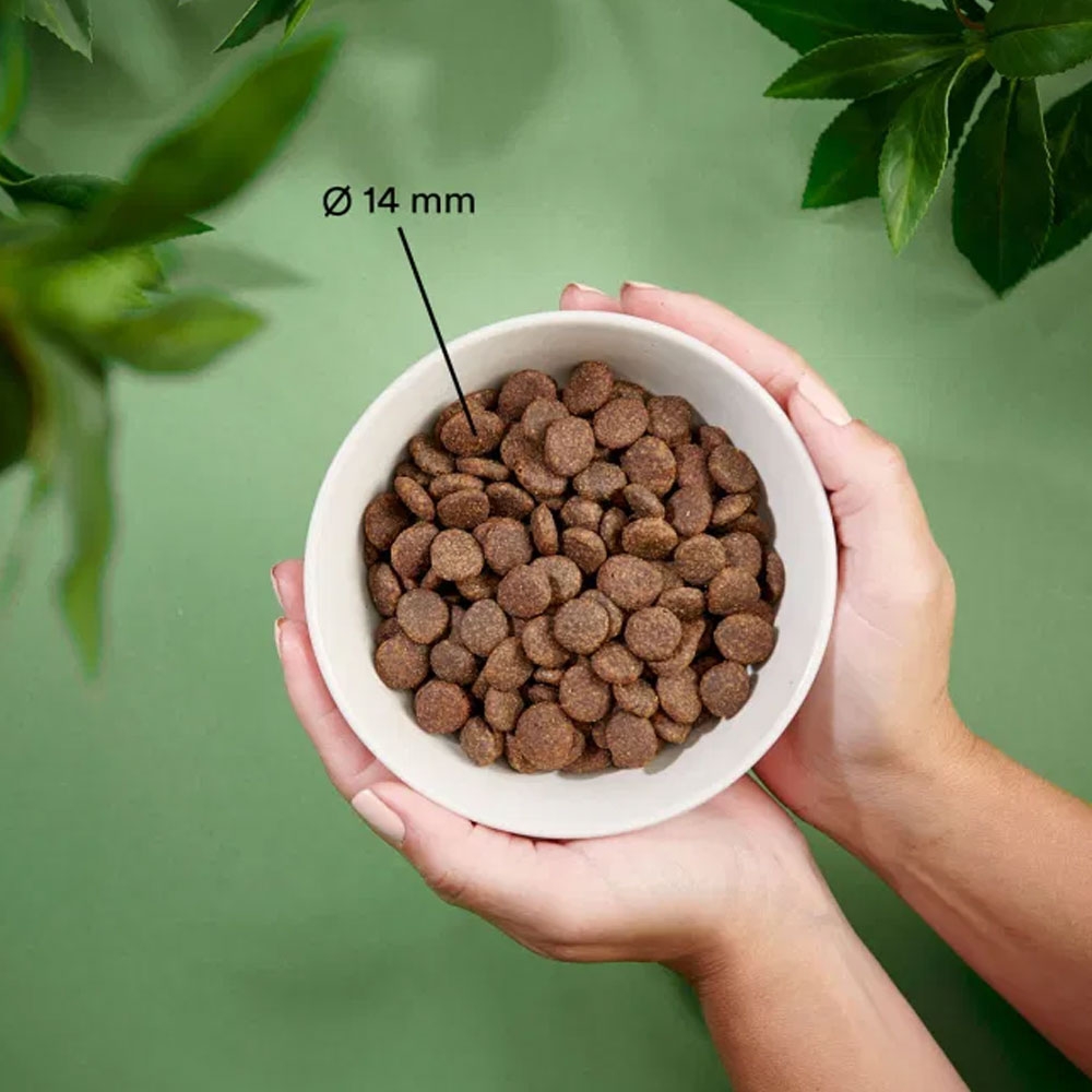 Purenatural begrūdis sausas maistas šunims su lašiša, 2 kg -  2