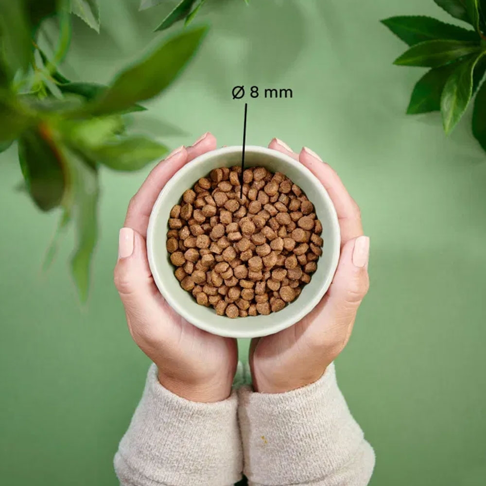 Purenatural begrūdis maistas kačiukams su vištiena ir kalakutiena, 2 kg -  2
