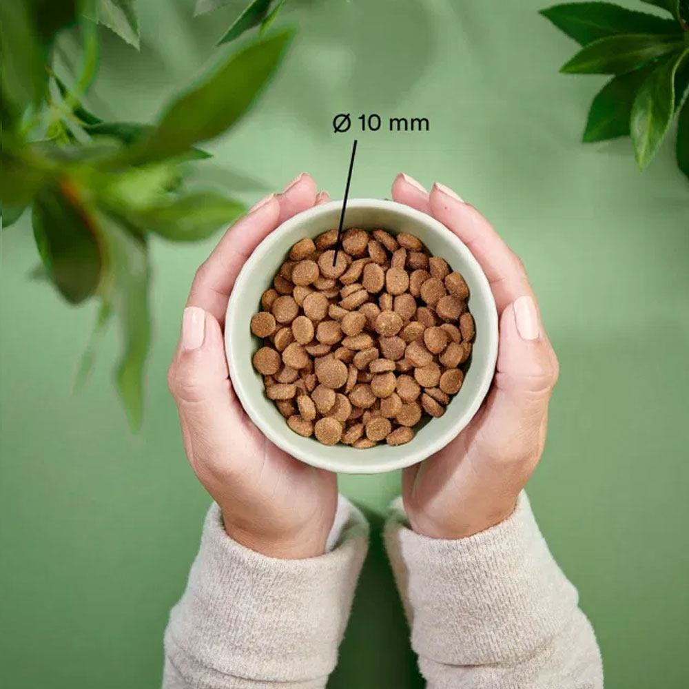 Purenatural begrūdis maistas katėms su vištiena ir kalakutiena, 2 kg -  2