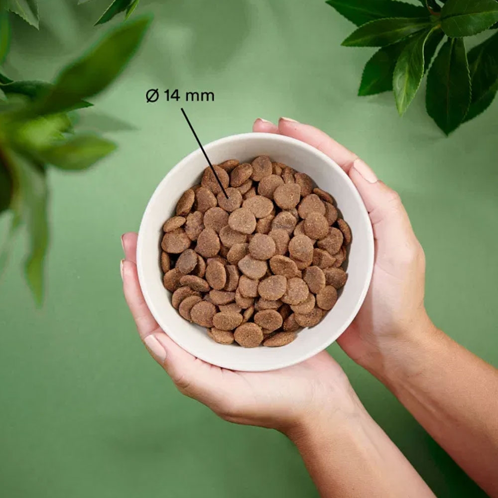 Purenatural sausas maistas katėms su antiena, 2 kg -  2