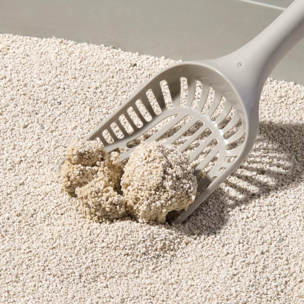 Compact Care Premium White kraikas katėms, bekvapis, 10 kg -  2