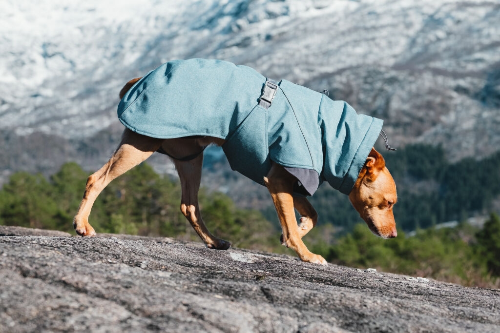 Hurtta Expedition Parka striukė, 20cm, mėlyna -  4