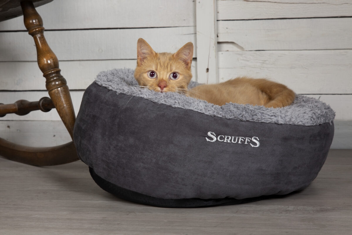 Scruffs Cosy guolis, 45 cm, pilkas -  5