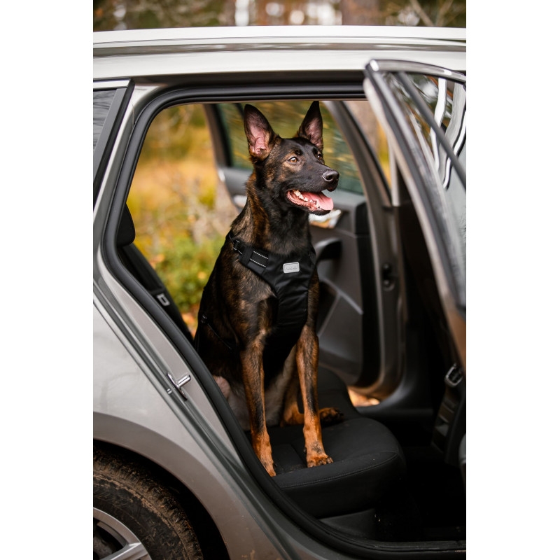 Rukka Car automobilinės petnešos, S, 40-55 cm, juodos -  4