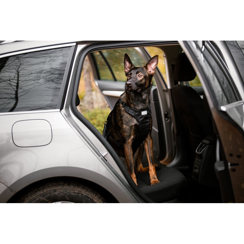 Rukka Car automobilinės petnešos, S, 40-55 cm, juodos -  5