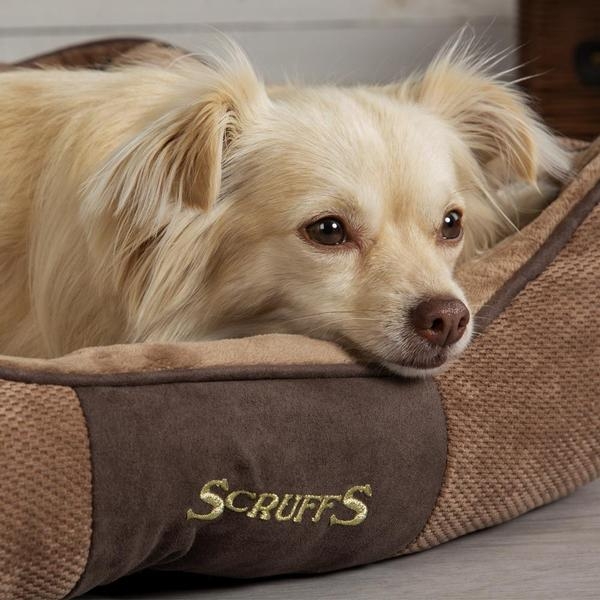 Scruffs Chester guolis, 60x50 cm, rudas -  3