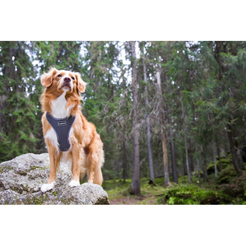 Rukka Comfort Air petnešos, 48-72 cm, pilkos -  4